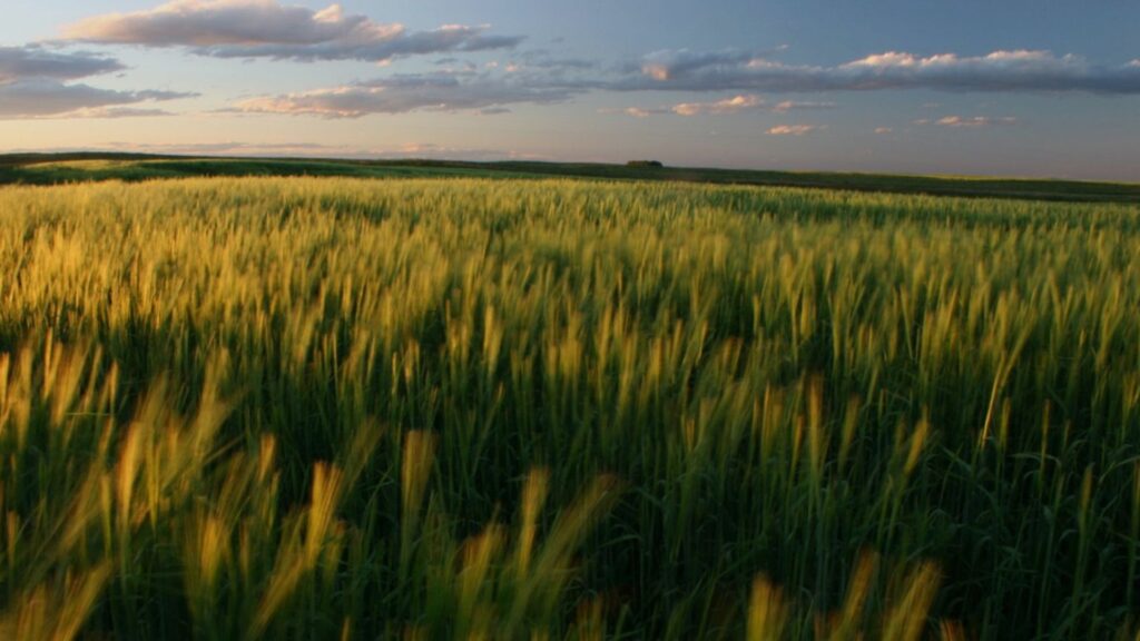 Partners Development Group Head Office photo 6